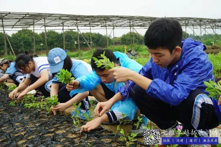 哪里可以找到关于篮球心理训练的资源_2